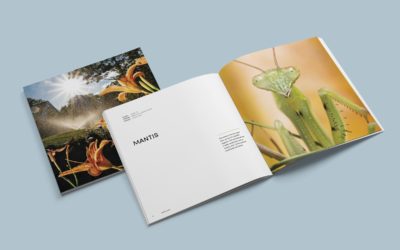 Fine Art Book Design and Photography